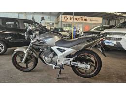 HONDA - CBX 250 TWISTER - 2008/2008 - Cinza - R$ 9.900,00